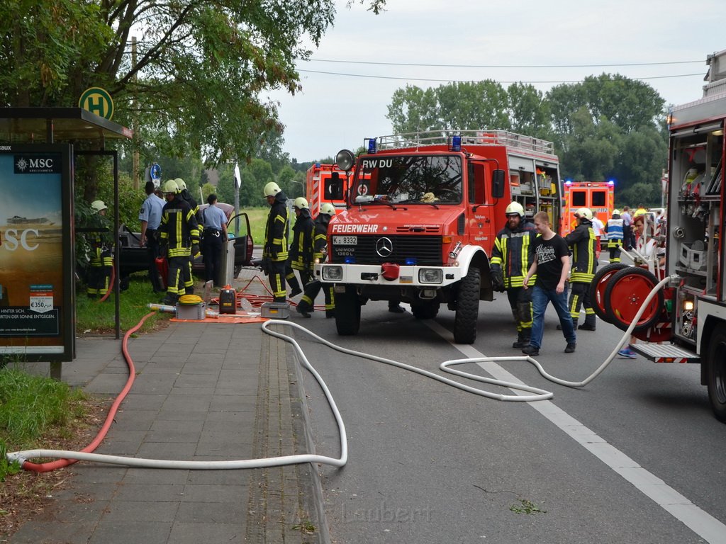 PKlemm Koeln Duennwald Am Weissen Moench Duennwalder Kommunalweg P09.JPG - Miklos Laubert